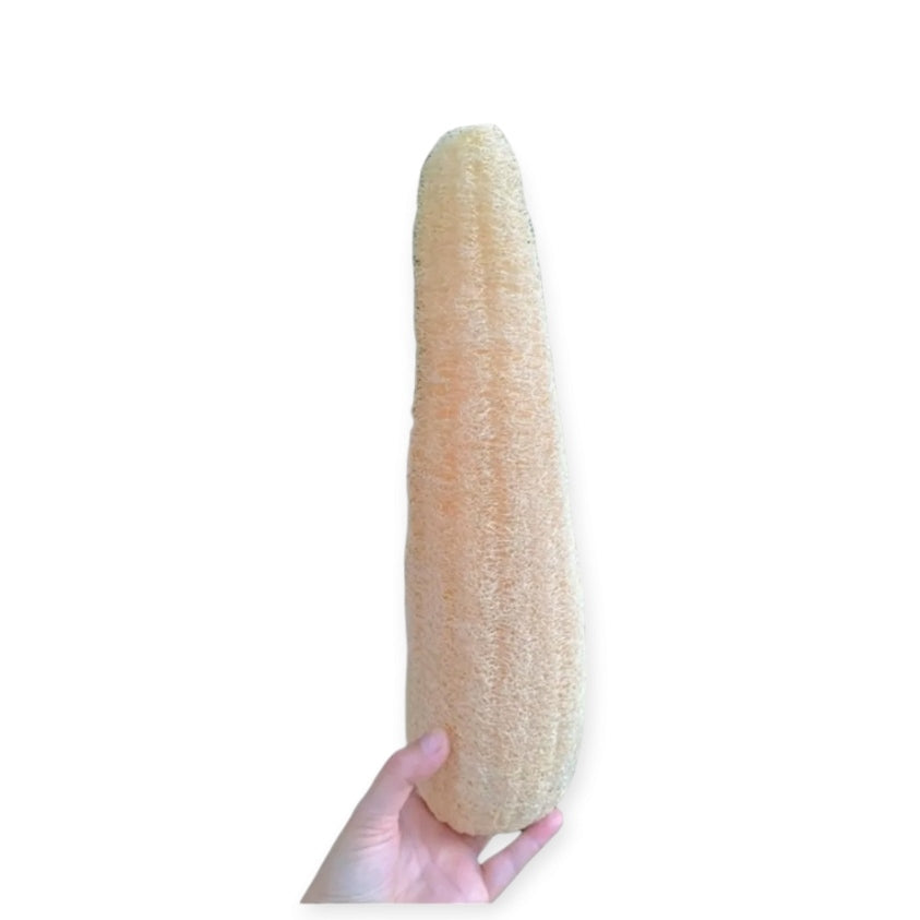 Luffa Natural Grande 35cm