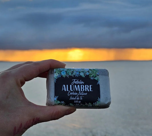 Jabón Piedra Alumbre y Carbón Activado 100g Hbm