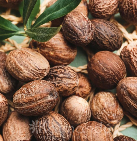 Manteca de Karite Natural 95grs