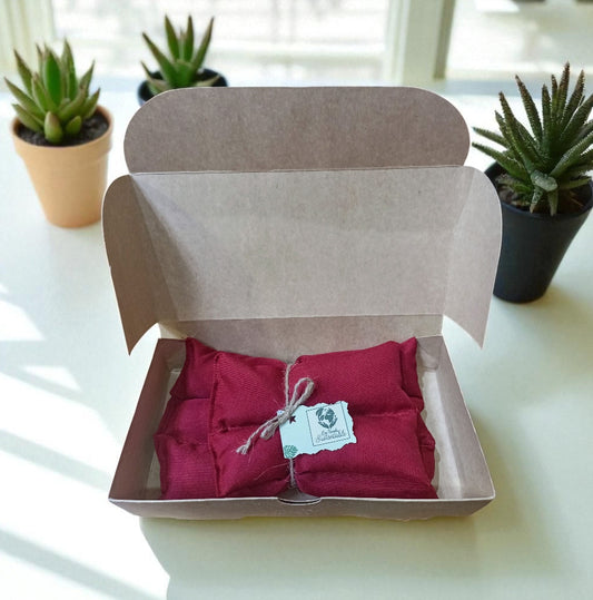 Pack de Guateros de Semillas 2 unidades