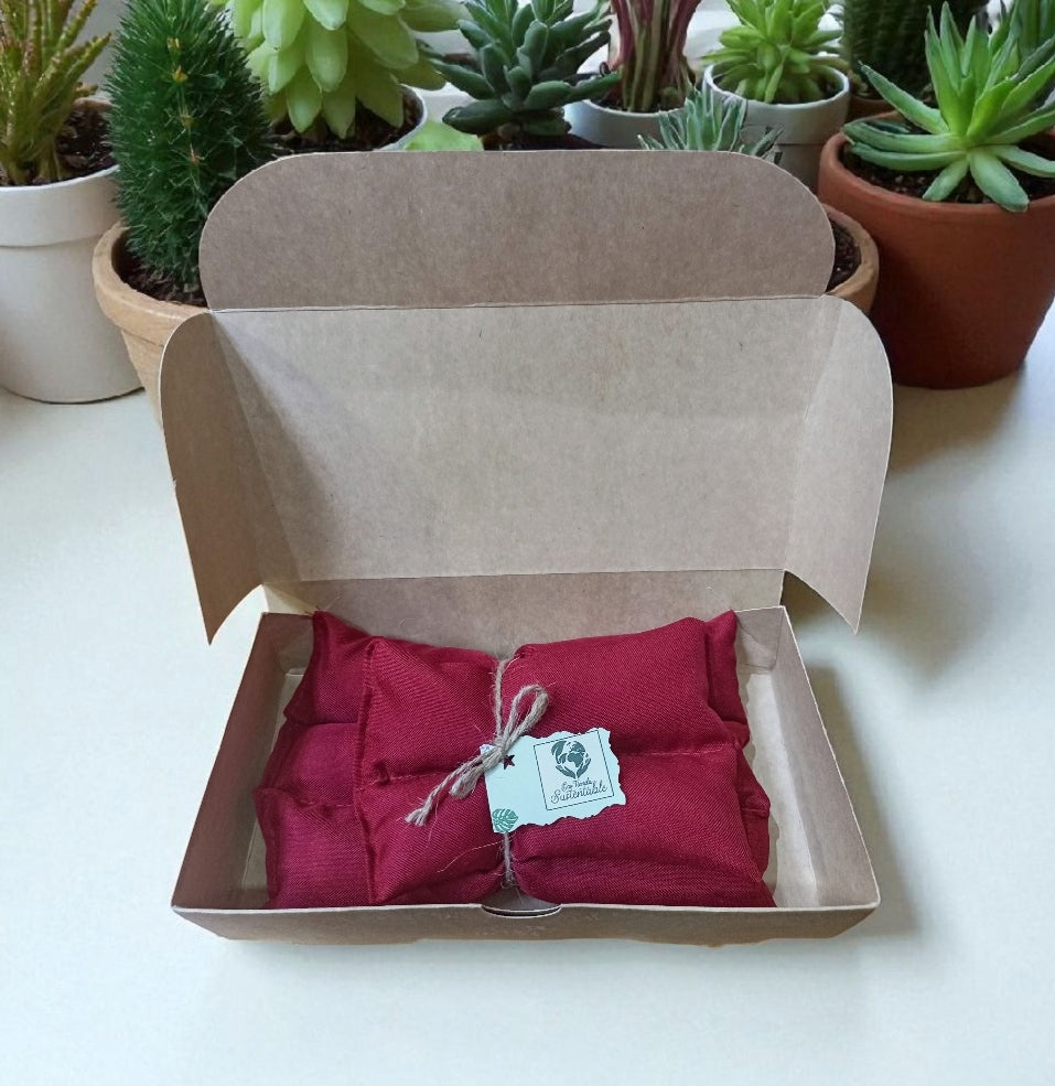 Pack de Guateros de Semillas 2 unidades