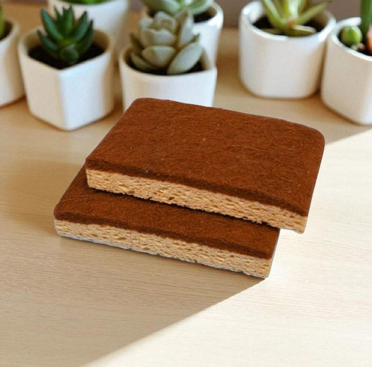 Esponjas Compostables Freemet 2un