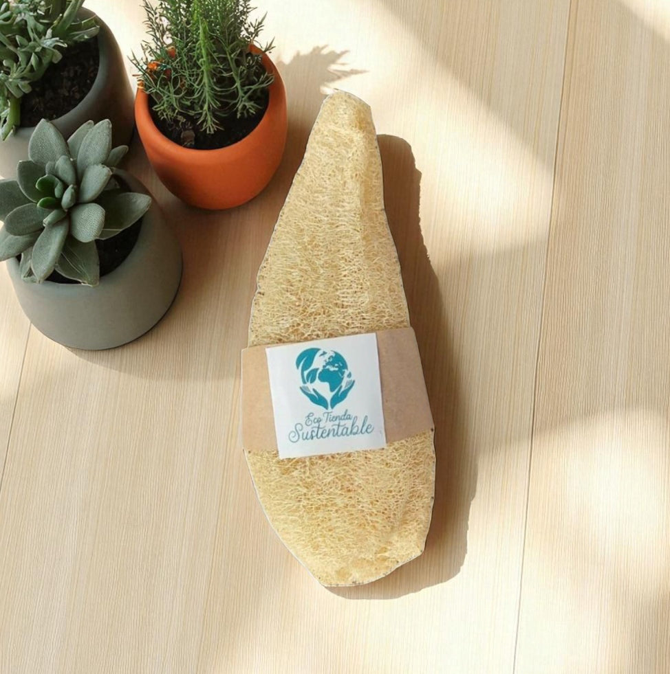 Luffa Natural Grande 35cm