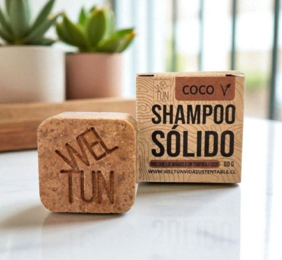 Shampoo Solidos 60g Weltun