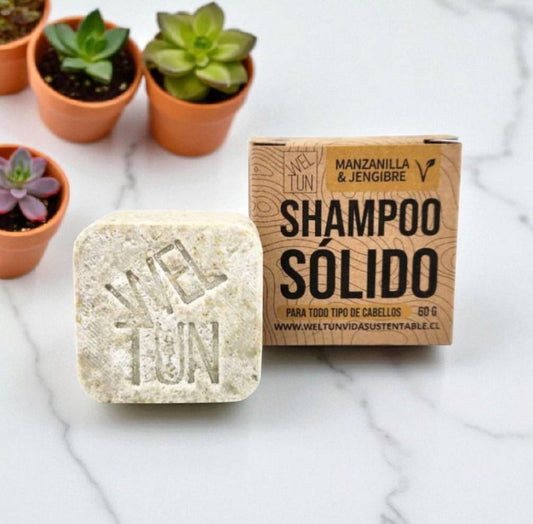 Shampoo Solidos 60g Weltun