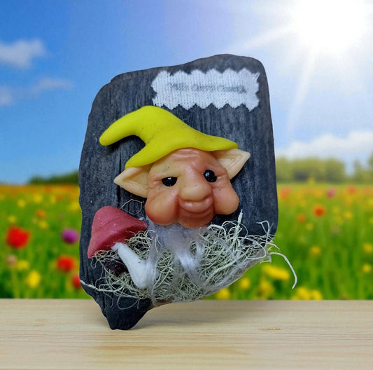 Imanes Elaborados en la Región de Aysen