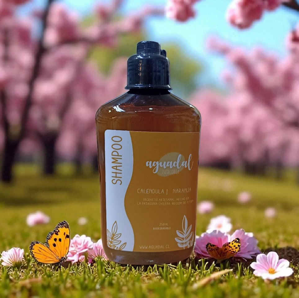 Shampoo Liquido Natural Aguadal 250ml