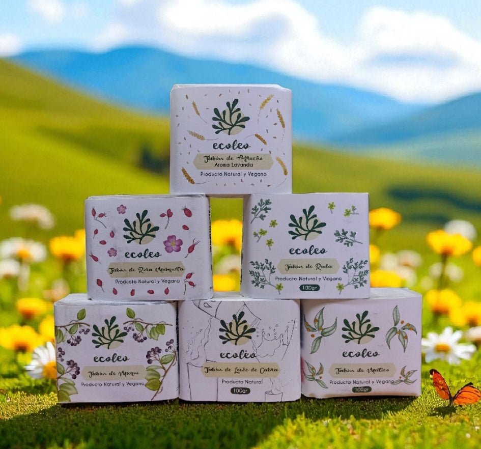 Jabones Naturales 100grs Ecoleo