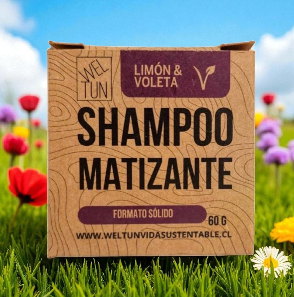 Shampoo Solidos 60g Weltun