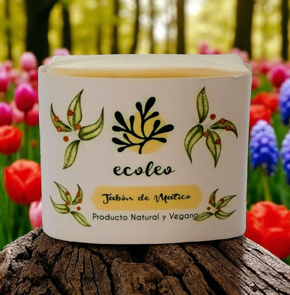 Jabones Naturales 100grs Ecoleo