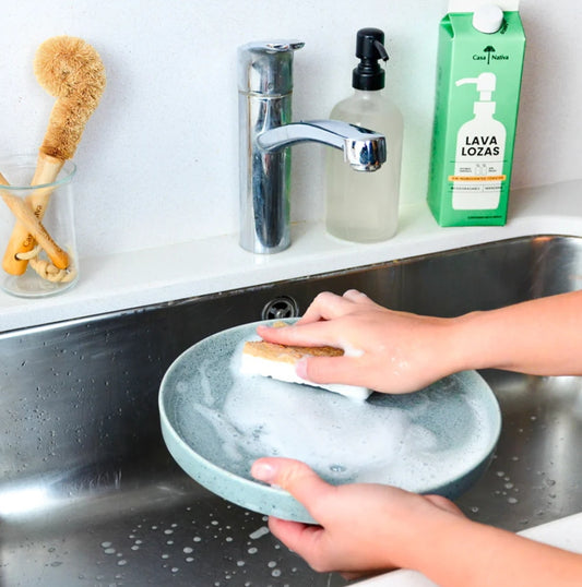 Esponja Compostables