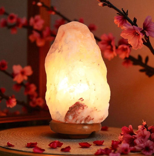 Lámpara de Sal con Regulador de Luz