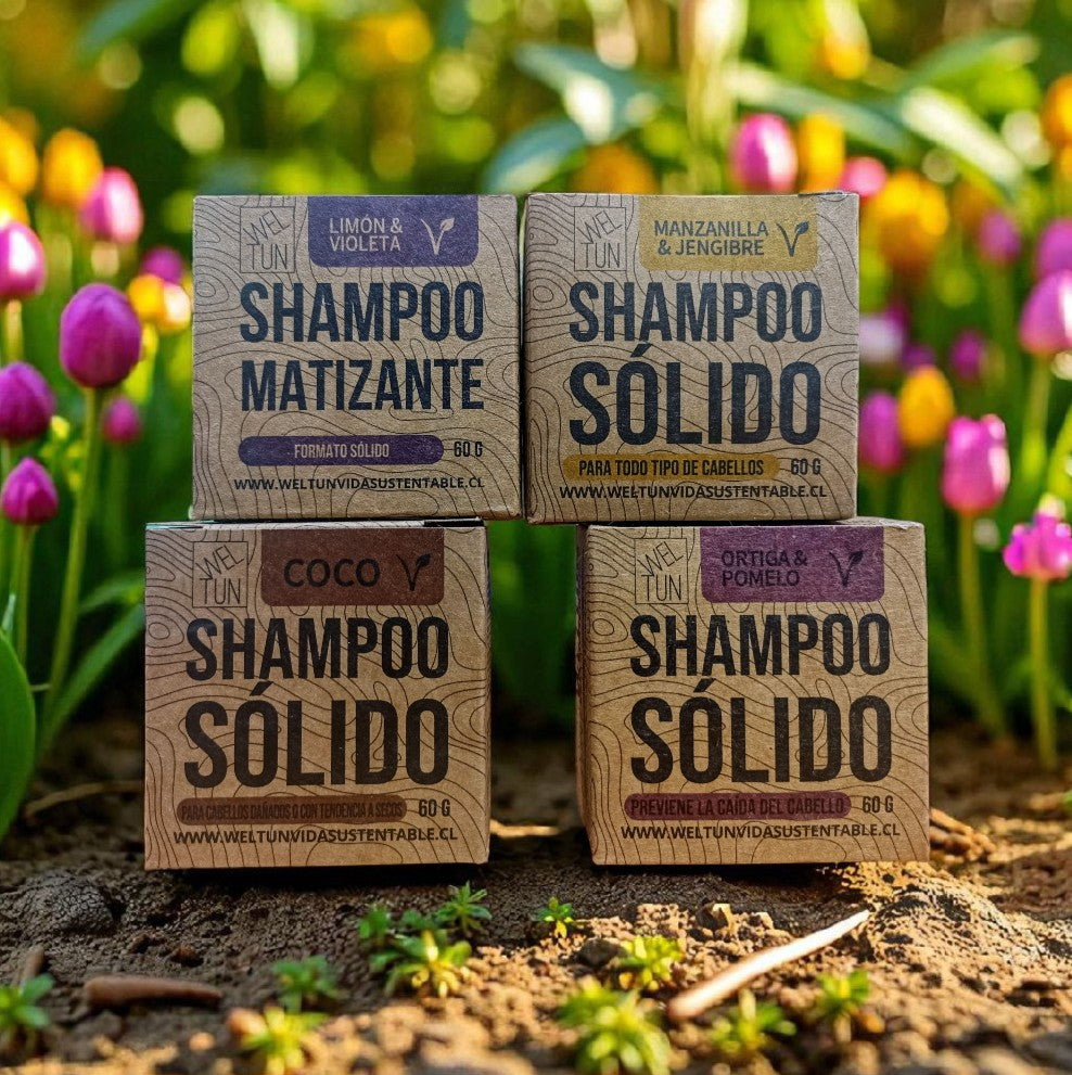 Shampoo Solidos 60g Weltun
