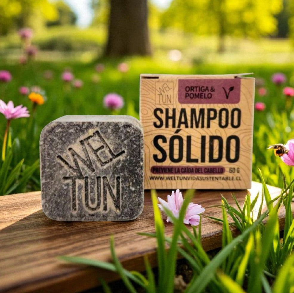 Shampoo Solidos 60g Weltun