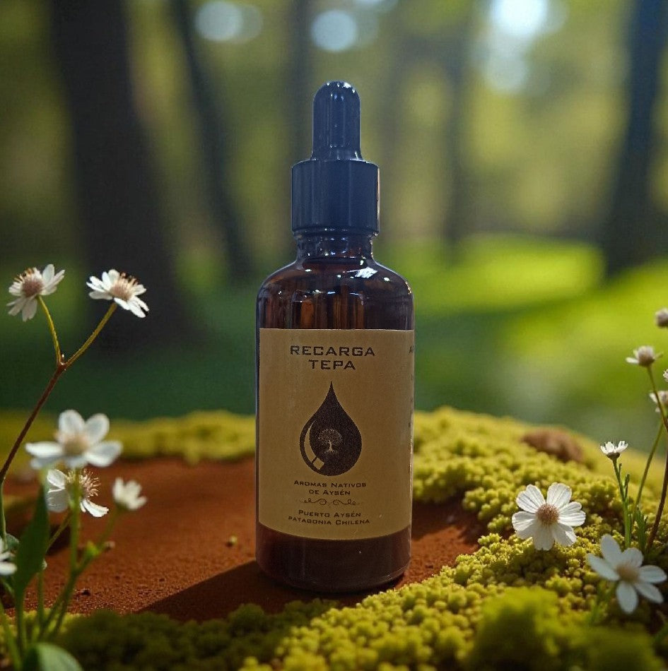 Recarga de Aromatizante para auto 50ml aromas regionales