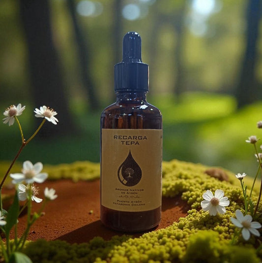 Recarga de Aromatizante para auto 50ml aromas regionales