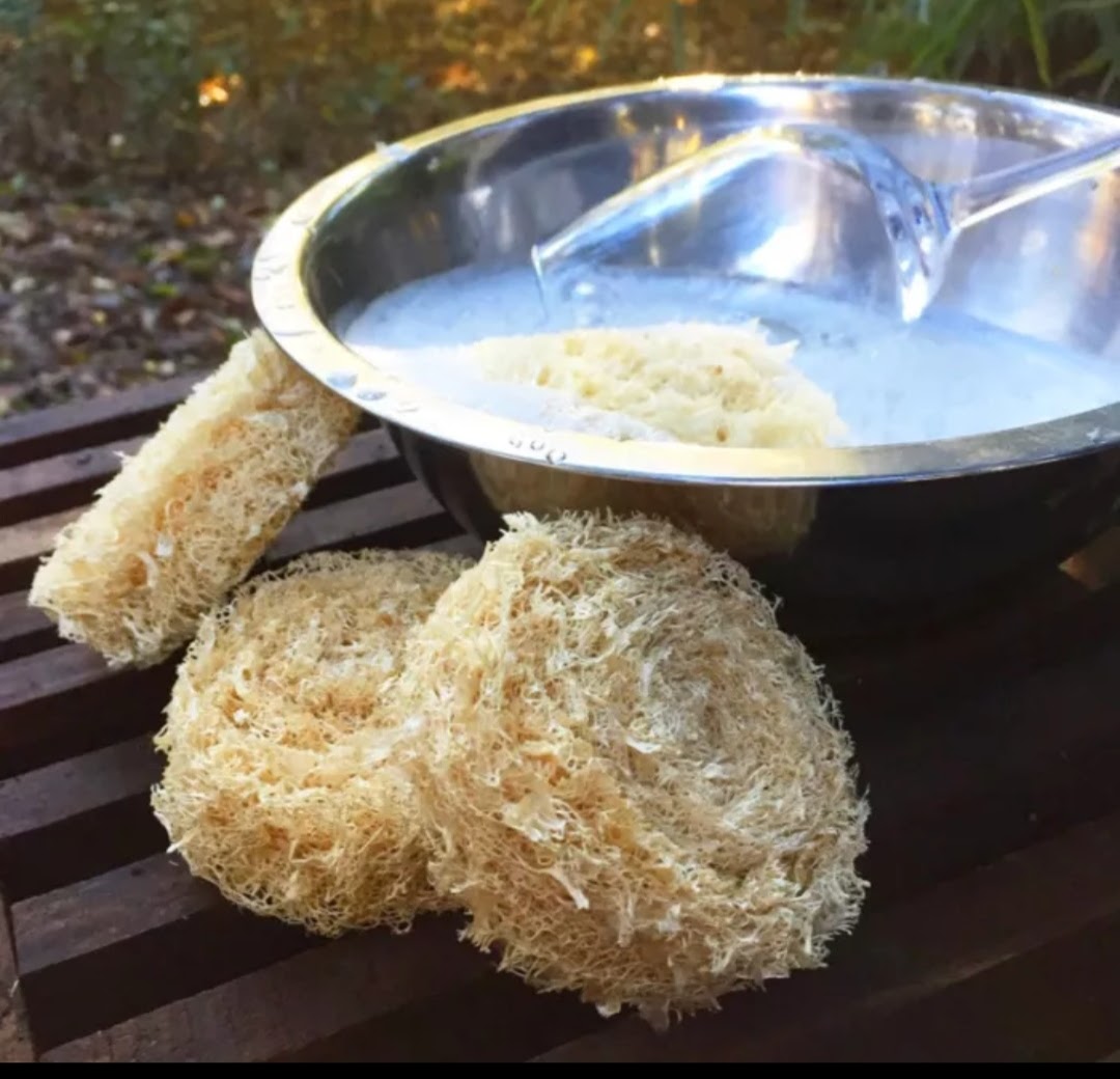 Virutillas Luffa 100% Natural