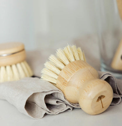 Escobilla de Limpieza con Fibras de Sisal
