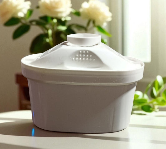 Repuesto Filtro para Jarro Purificador Agua