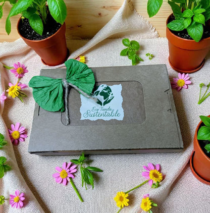 Kit Afeitado Manual