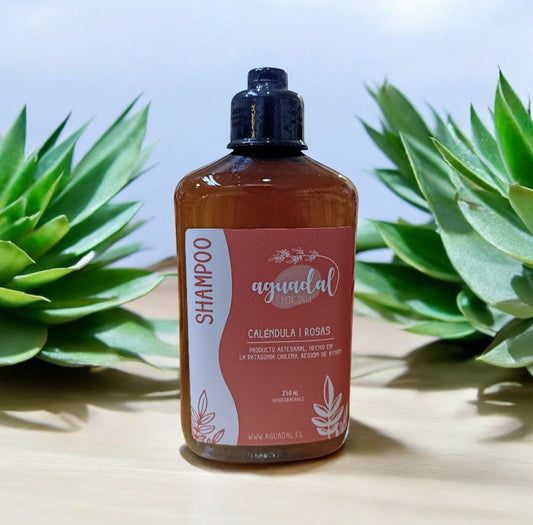 Shampoo Liquido Natural Aguadal 250ml