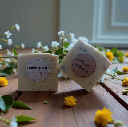 Lavaloza y Detergente Solido de Aceite Reciclado 100g