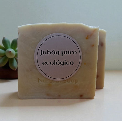 Lavaloza y Detergente Solido de Aceite Reciclado 100g