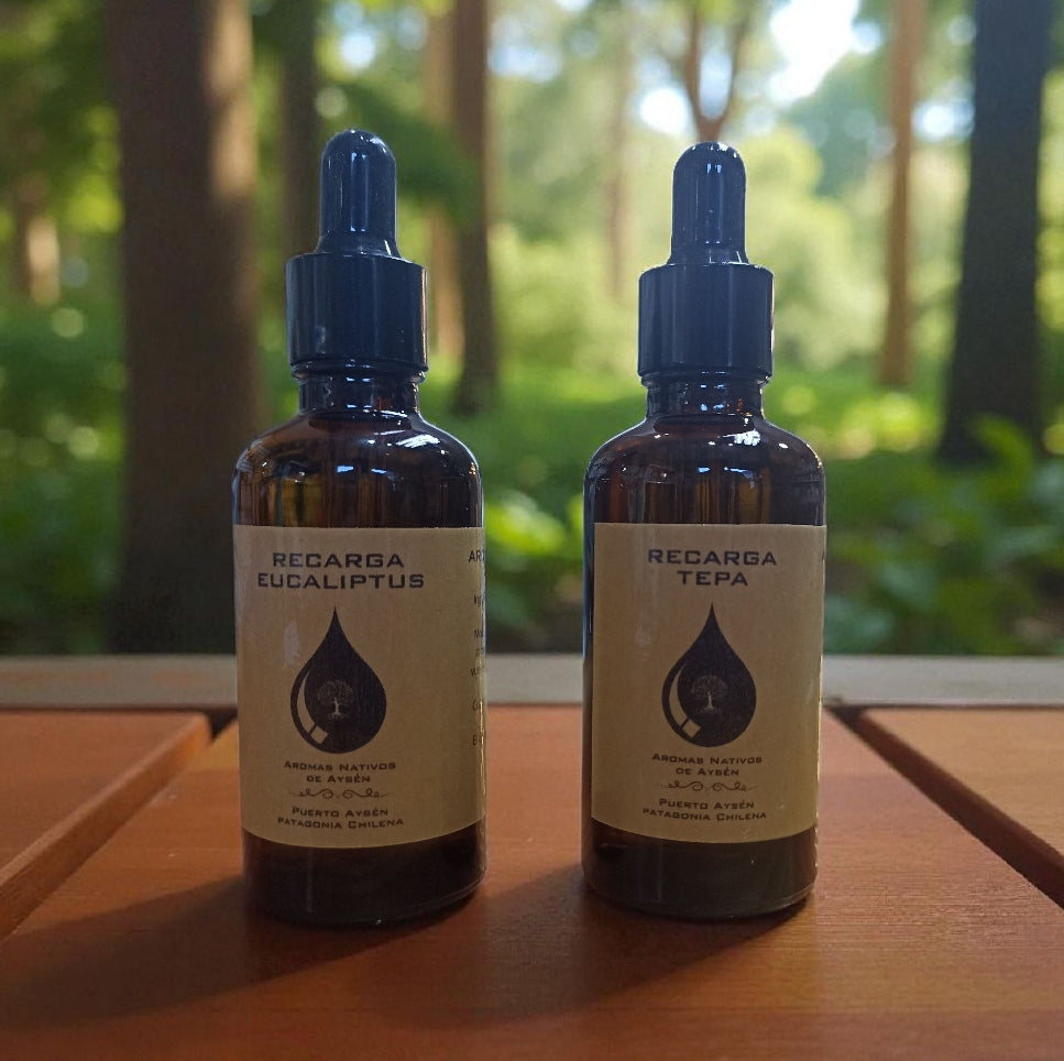 Recarga de Aromatizante para auto 50ml aromas regionales