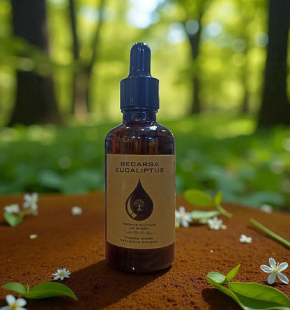 Recarga de Aromatizante para auto 50ml aromas regionales