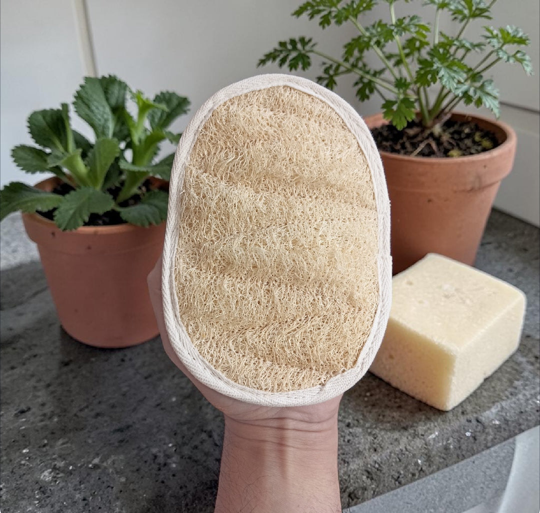 Esponja Exfoliante Ovalada de Luffa con Manilla