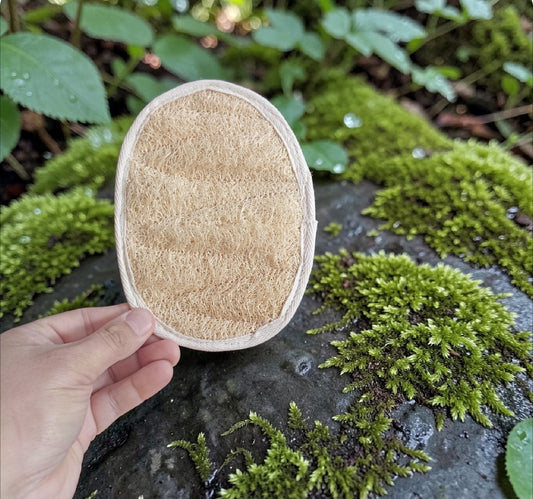 Esponja Exfoliante Ovalada de Luffa con Manilla