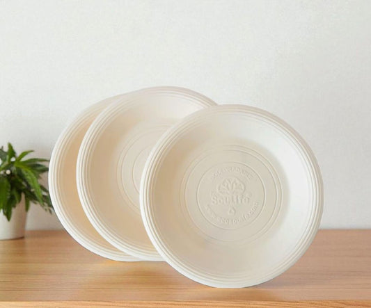 Set de 10 Platos Biodegradable 22 y 17 cm