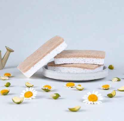 Esponja Compostables