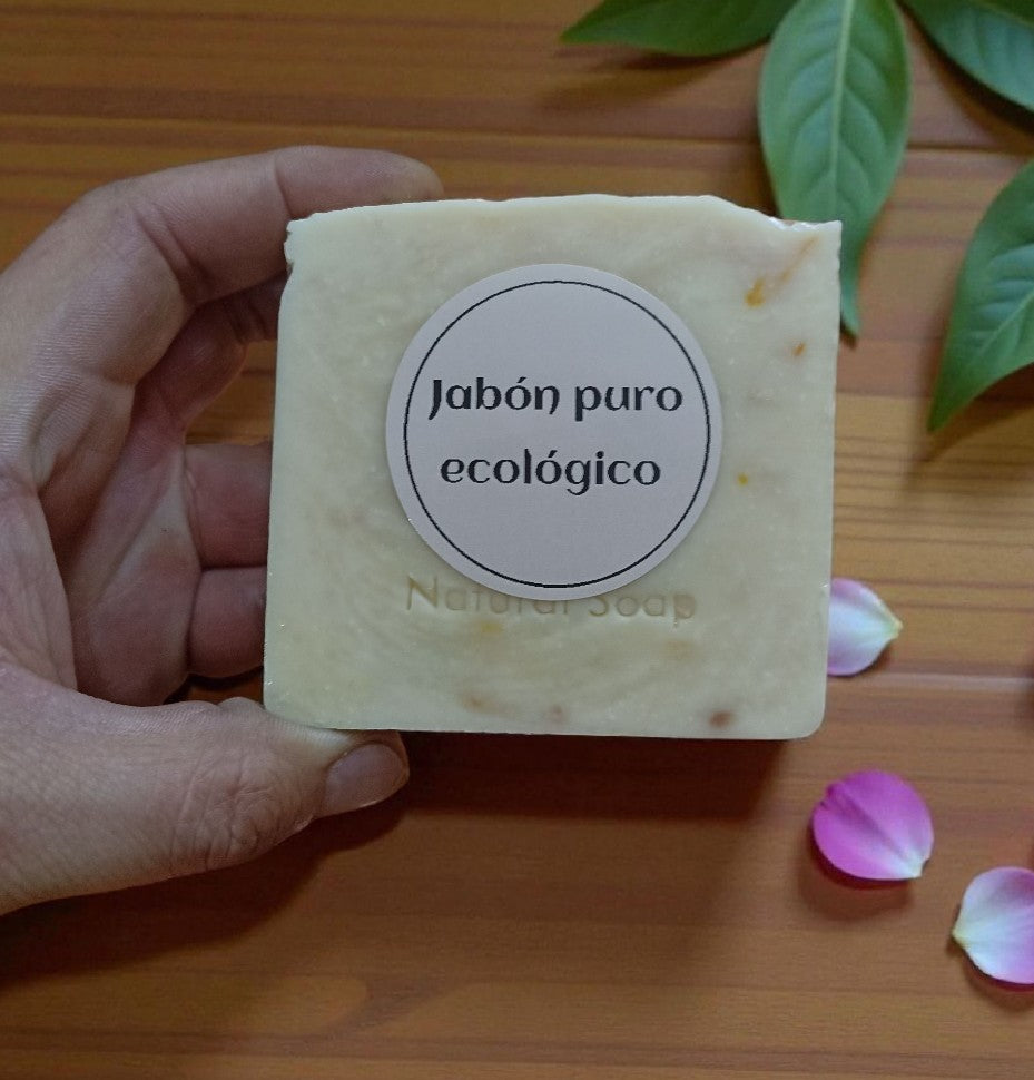 Lavaloza y Detergente Solido de Aceite Reciclado 100g